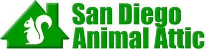 San Diego Animal Attic